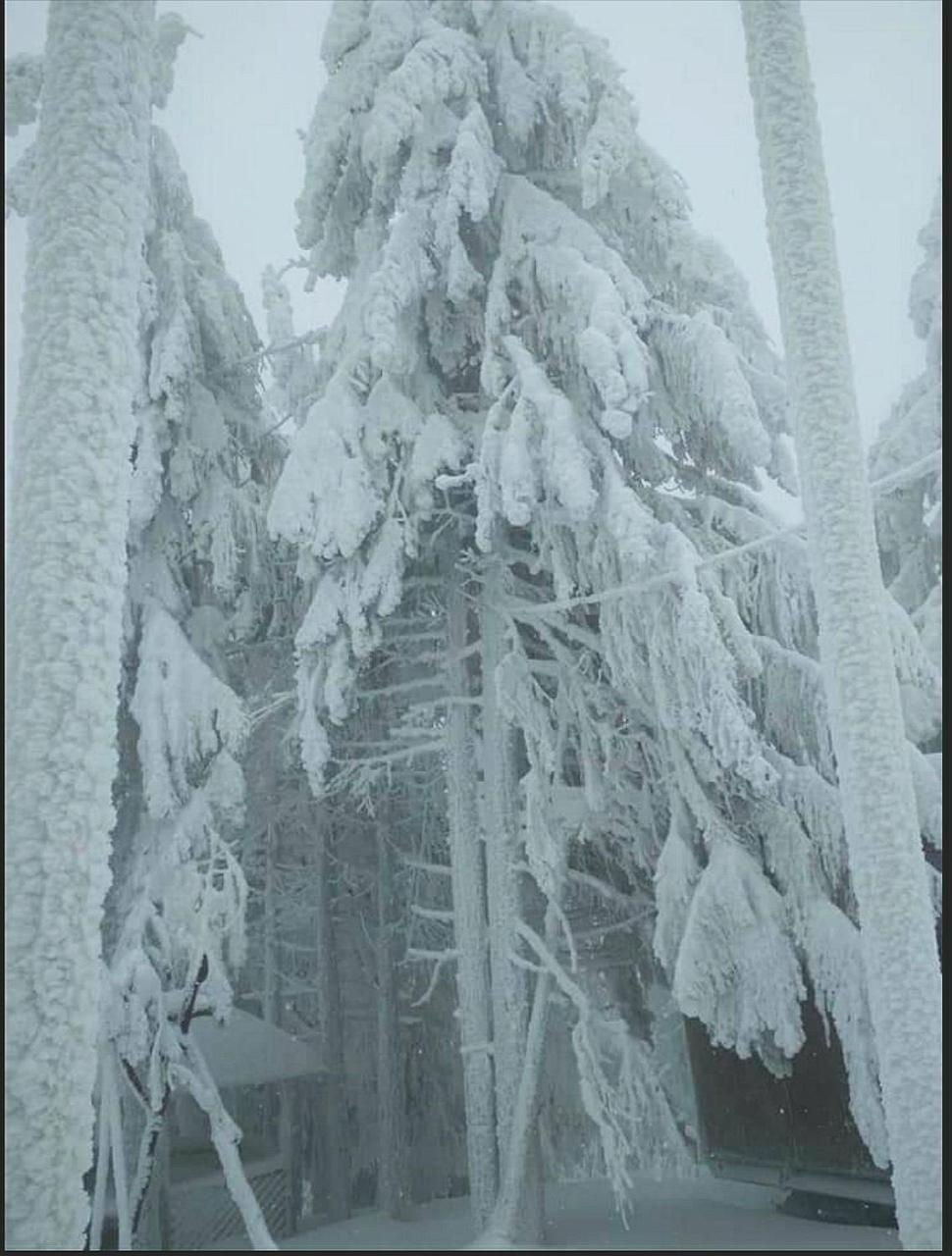 "Різьбярська Садиба" Slavske Dış mekan fotoğraf