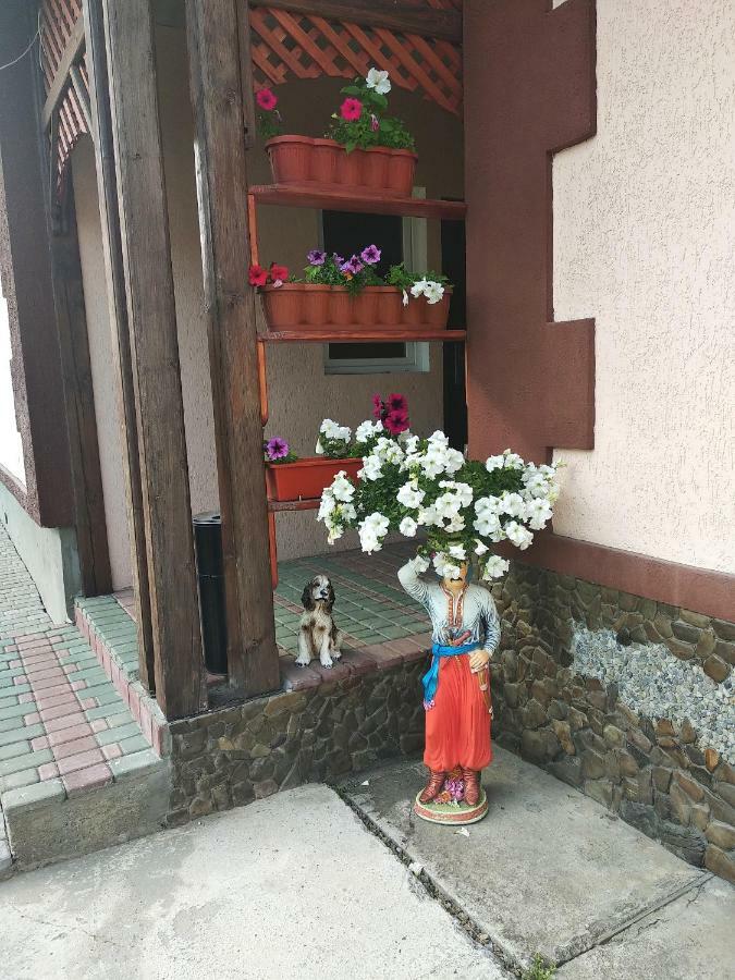 "Різьбярська Садиба" Slavske Dış mekan fotoğraf