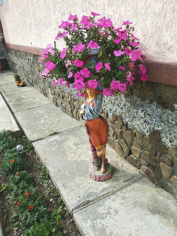 "Різьбярська Садиба" Slavske Dış mekan fotoğraf